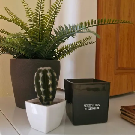 شقة Vivari Apartment