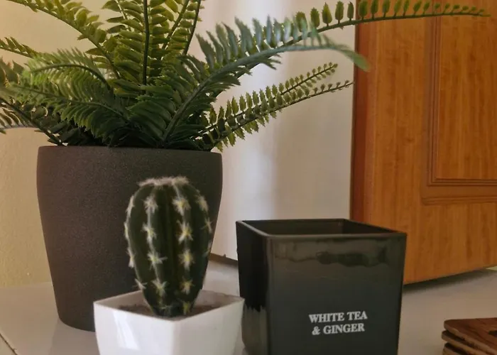 Appartement Vivari Apartment